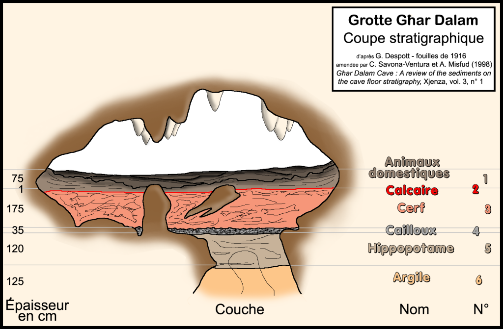 Għar Dalam Cave Malta fossil layers