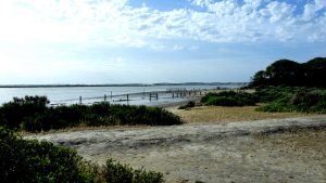 Guadalquivir river flowing into the Doñana National Park.
