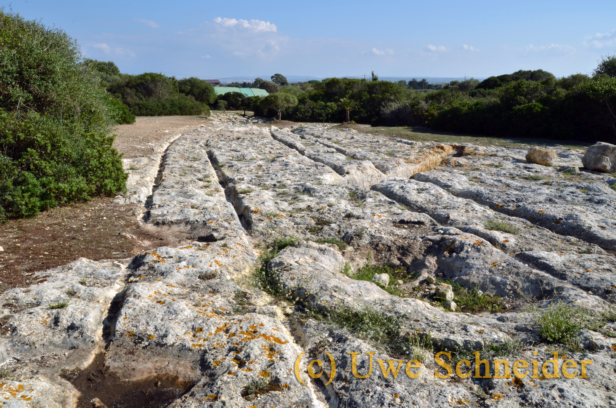 cart ruts in the United States