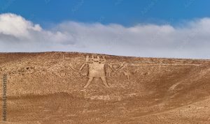 Atacama Giant