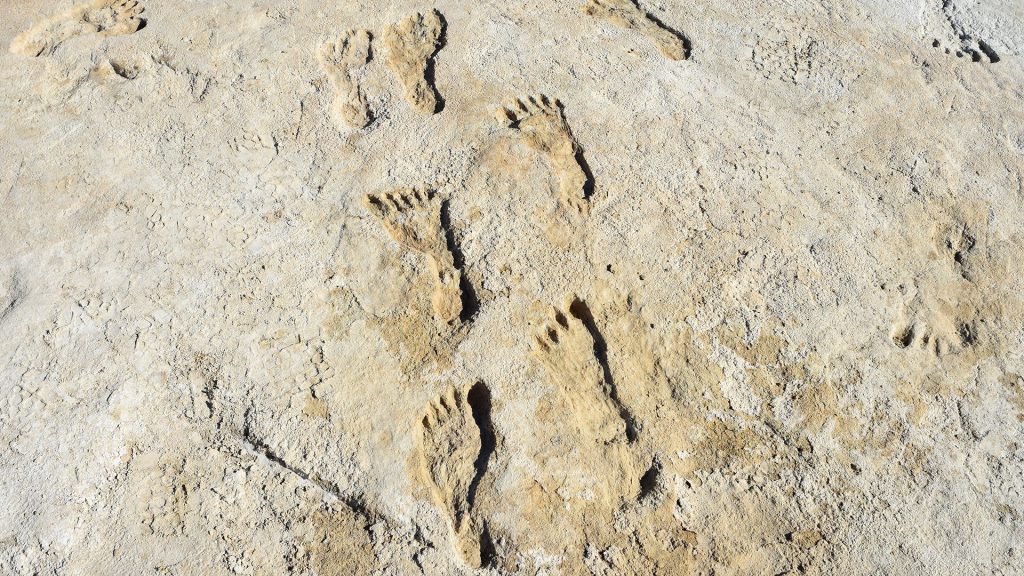 Human fossil footprints at White Sands National Park in New Mexico. Image Credit: Courtesy of the National Park Service