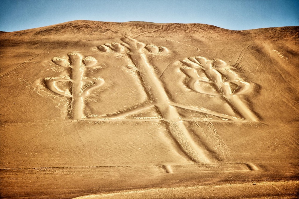 Candelabra of the Andes