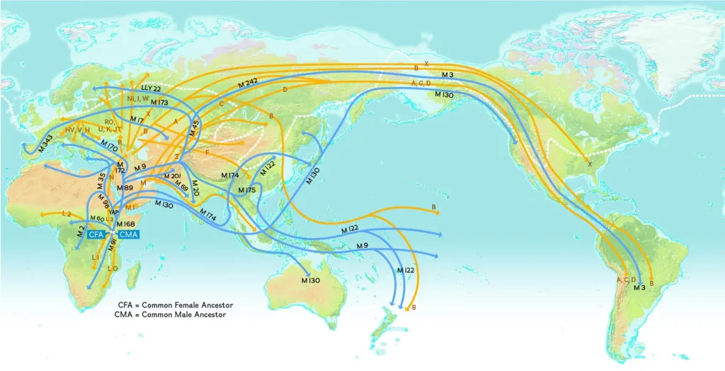 Ancient Migration