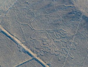 Nazca Lines: Figures and Shapes
