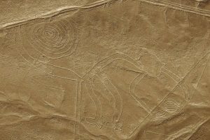 Nazca Lines: The Monkey