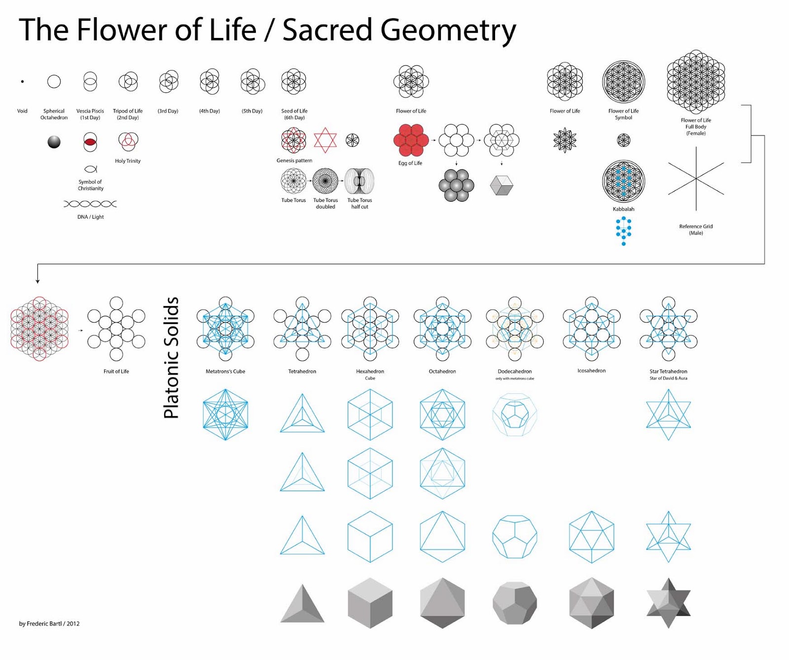 Sacred Geometry & The Flower of Life
